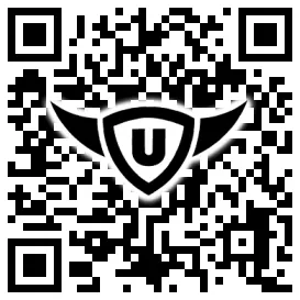 QR-Code Stonies