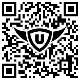 QR-Code Stonies