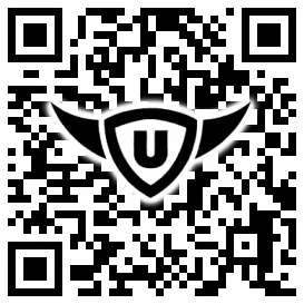 QR-Code Stonies