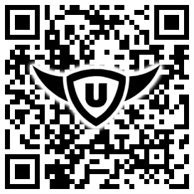 QR-Code Stonies