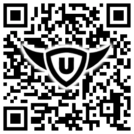 QR-Code Stonies