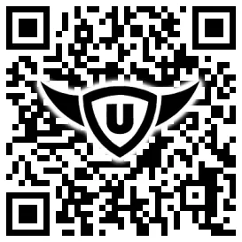 QR-Code Stonies