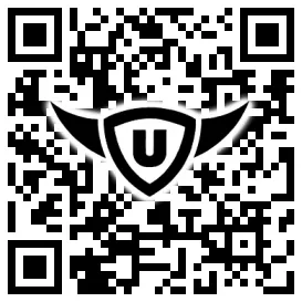 QR-Code Stonies
