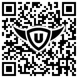 QR-Code Stonies