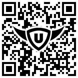 QR-Code Stonies