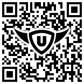 QR-Code Stonies