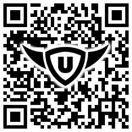 QR-Code Stonies