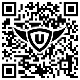 QR-Code Stonies