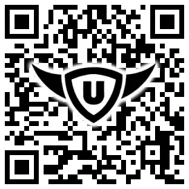 QR-Code Stonies
