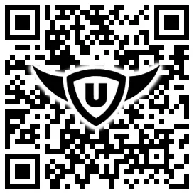QR-Code Stonies