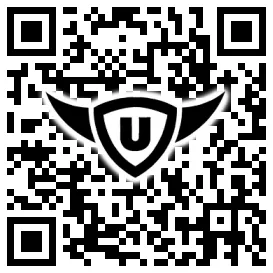 QR-Code Stonies