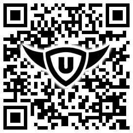 QR-Code Stonies
