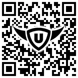 QR-Code Stonies
