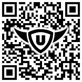 QR-Code Stonies