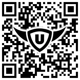 QR-Code Stonies