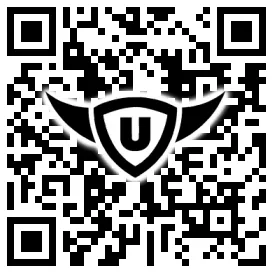 QR-Code Stonies