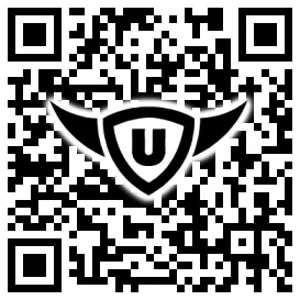 QR-Code Stonies