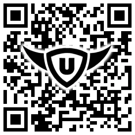 QR-Code Stonies