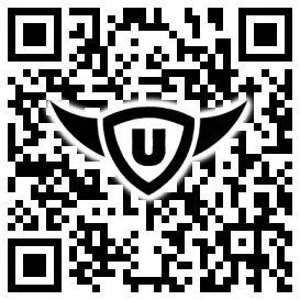 QR-Code Stonies