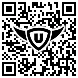 QR-Code Stonies