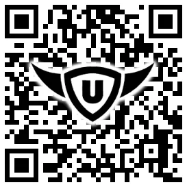 QR-Code Stonies