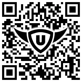 QR-Code Stonies