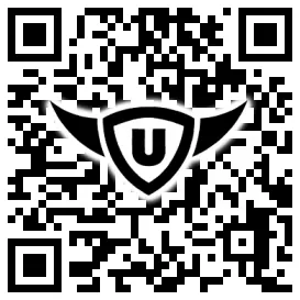 QR-Code Stonies