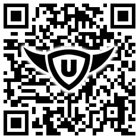 QR-Code Stonies