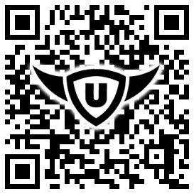 QR-Code Stonies