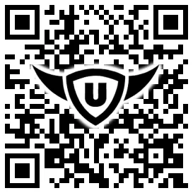 QR-Code Stonies