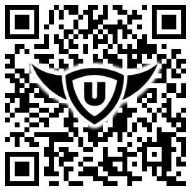 QR-Code Stonies
