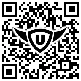 QR-Code Stonies