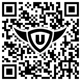 QR-Code Stonies