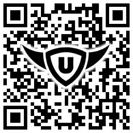QR-Code Stonies