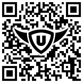 QR-Code Stonies