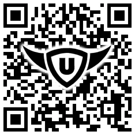 QR-Code Stonies