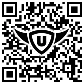 QR-Code Stonies