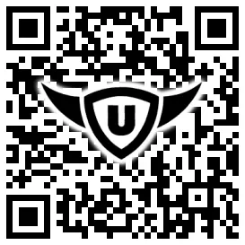 QR-Code Stonies