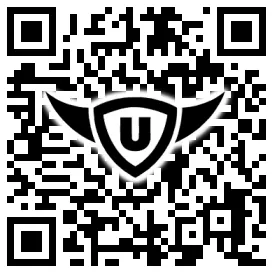 QR-Code Stonies