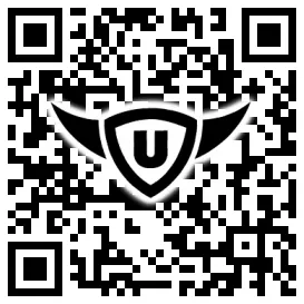 QR-Code Stonies