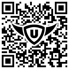 QR-Code Stonies