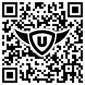 QR-Code Stonies