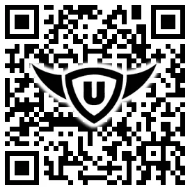 QR-Code Stonies