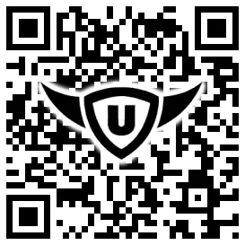 QR-Code Stonies