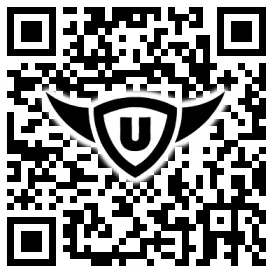 QR-Code Stonies