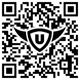 QR-Code Stonies