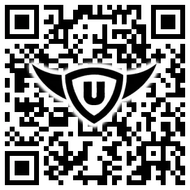 QR-Code Stonies