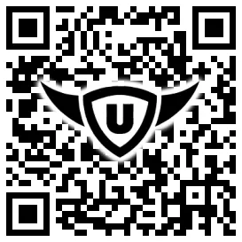 QR-Code Stonies