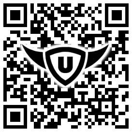 QR-Code Stonies
