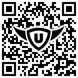 QR-Code Stonies
